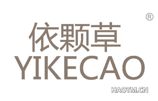 依颗草 