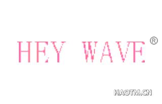 HEY WAVE