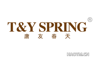 唐友春天 TY SPRING