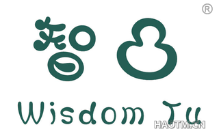 智凸 WISDOM TU