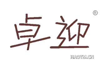 卓迎 
