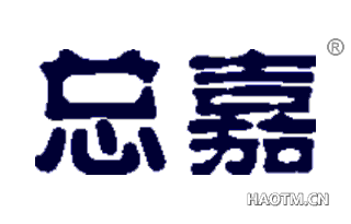 总嘉 