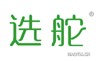 选舵 