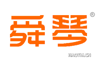 舜琴 