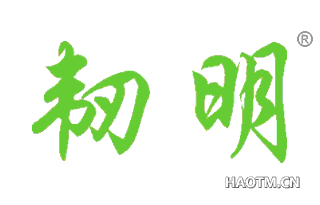韧明 