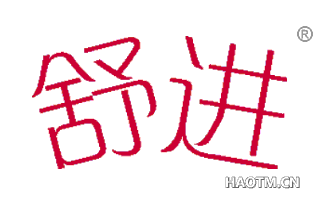 舒进 