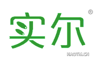 实尔 