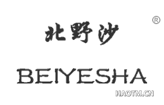 北野沙 