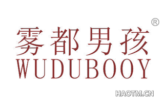 雾都男孩 WUDUBOOY