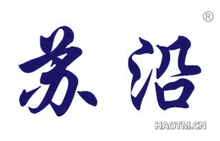 苏沿 