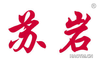 苏岩 