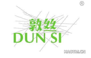 敦丝 