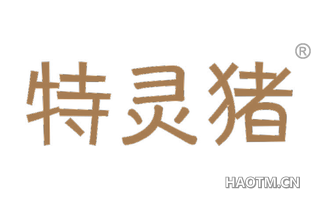 特灵猪 