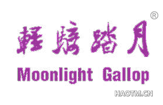 轻骑踏月 MOONLIGHT GALLOP