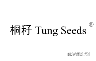 桐秄 TUNG SEEDS