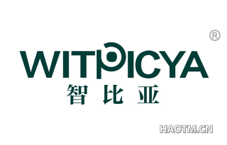 智比亚 WITPICYA