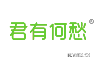 君有何愁 