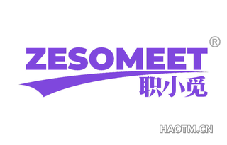 职小觅 ZESOMEET