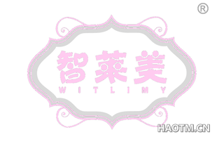 智莱美 WITLIMY