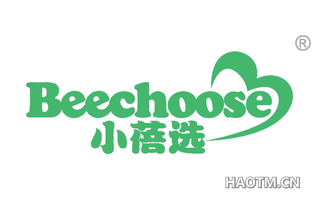 小蓓选 BEECHOOSE