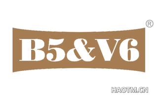 B5&V6