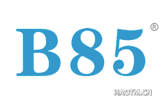  B85