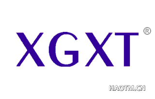 XGXT