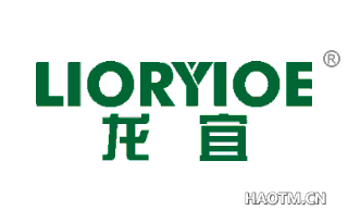 龙宜 LIORYIOE