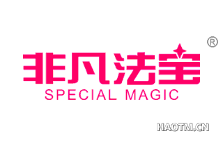 非凡法宝 SPECIAL MAGIC