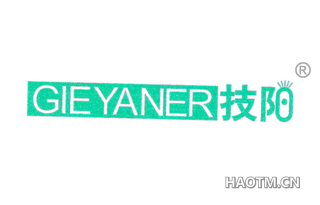 技阳 GIEYANER