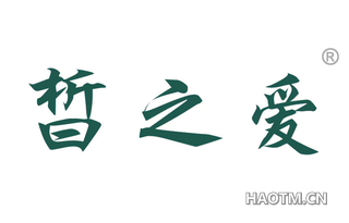 晳之爱 