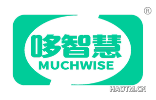 哆智慧 MUCHWISE