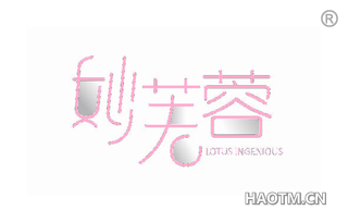 妙芙蓉 LOTUS INGENIOUS