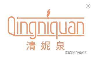 清妮泉 