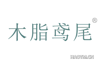 木脂鸢尾 