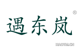 遇东岚 
