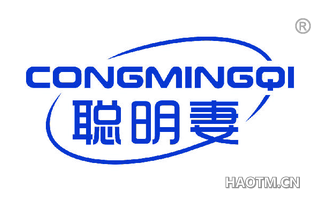 聪明妻 