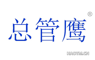 总管鹰 