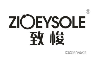 致梭 ZIOEYSOLE