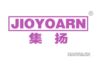 集杨 JIOYOARN