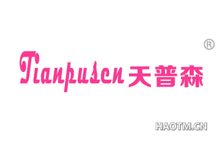 天普森 
