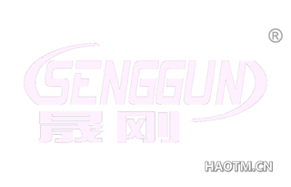 晟刚 SENGGUN