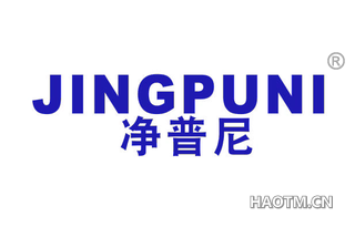 净普尼 