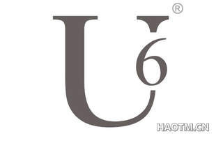  U6
