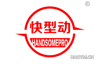 快型动 HANDSOMEPRO