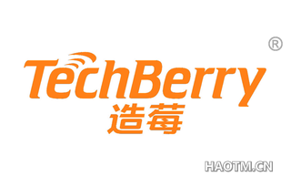 造莓 TECHBERRY