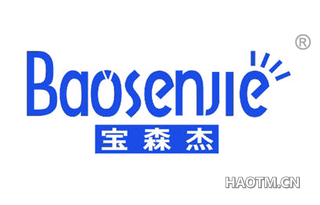 宝森杰 