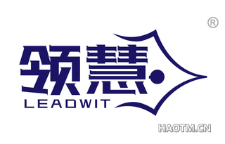 领慧 LEADWIT