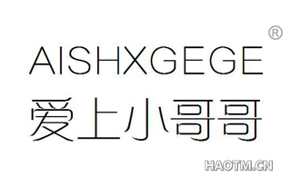 爱上小哥哥 AISHXGEGE