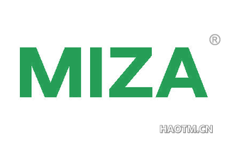 MIZA